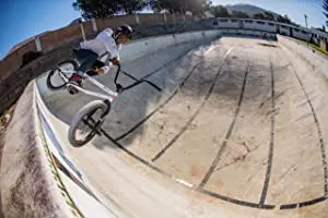Riding with Sugar
