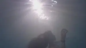The Swimming Pool