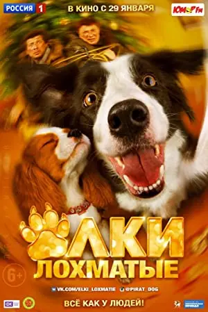 Paws, bones and Rock 'n' Roll