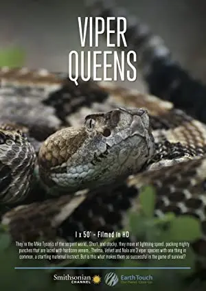 Viper Queens