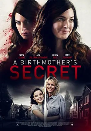 A Birthmother's Secret