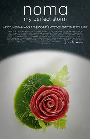 Noma - My Perfect Storm