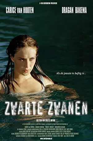 Zwarte Zwanen