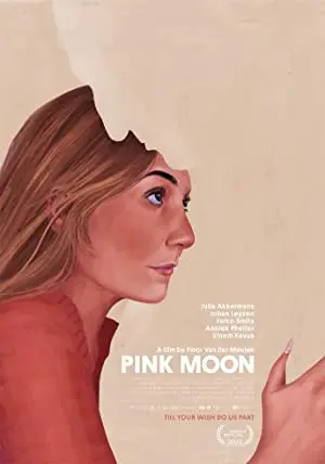 Pink Moon