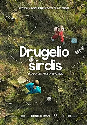 Drugelio sirdis