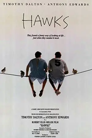 Hawks