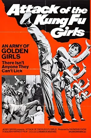 Attack of the Kung Fu Girls