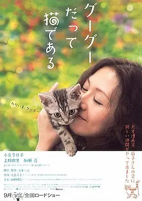 Gou Gou, the Cat