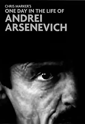 One Day in the Life of Andrei Arsenevitch