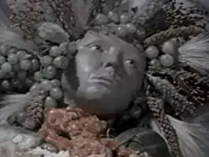 Flora