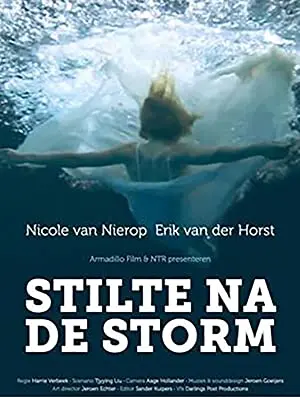 Stilte na de storm