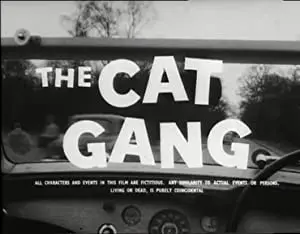 The Cat Gang