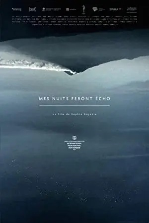 Mes nuits feront écho