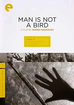 Man Is Not a Bird
