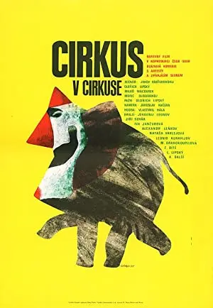 Cirkus v cirkuse