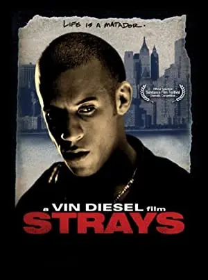 Strays