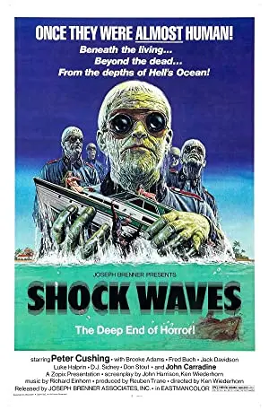 Shock Waves