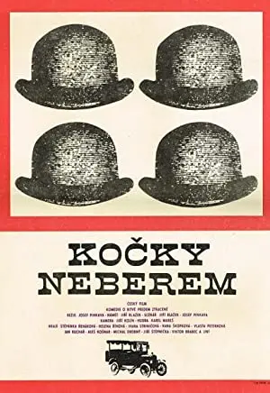 Kocky neberem