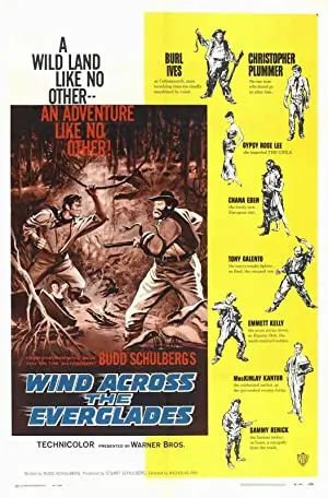 Wind Across the Everglades