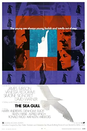 The Sea Gull