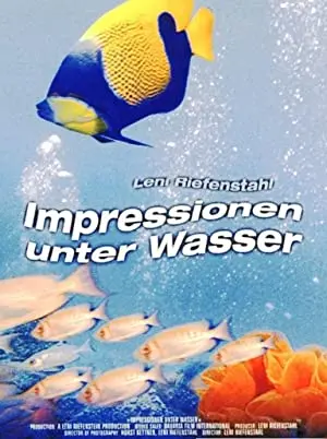 Impressionen unter Wasser