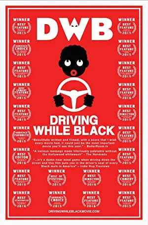 Driving While Black