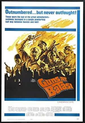 Guns at Batasi