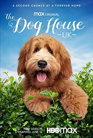 The Dog House