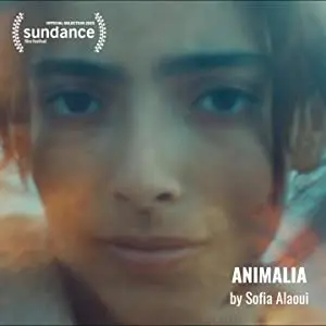 Animalia