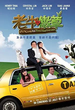 Old Cow vs Tender Grass
