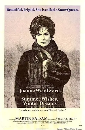 Summer Wishes, Winter Dreams