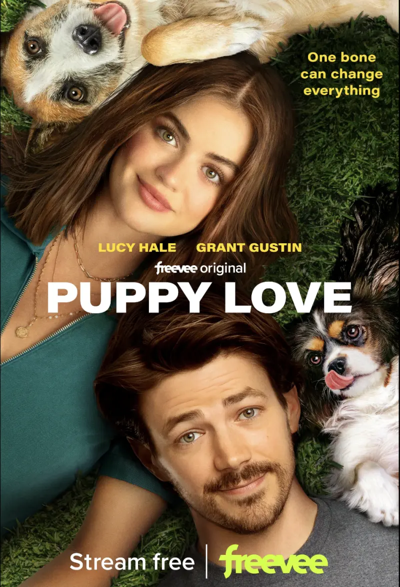 Puppy Love (2023) – Een Ongecompliceerde Rom-Com met Honden in de Hoofdrol