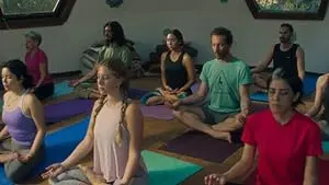 The Practice