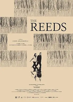 The Reeds