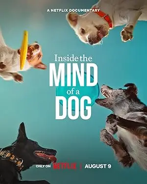 Inside the Mind of a Dog (2024) - Een Ontroerende Kennisreis in het Brein van Onze Vrienden op Vier Poten