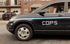Buddy Cops